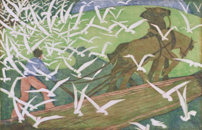 Vogels die een ploeg volgen door Ethel Spowers