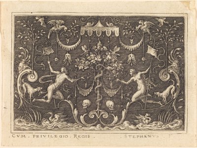 De val van de mens door Etienne Delaune