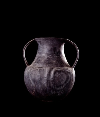 Etruskische beschaving: zwarte bucchero-amfoor, uit Veio, necropolis van Monte Michele, Italië - 7e eeuw v.Chr. door Etruscan