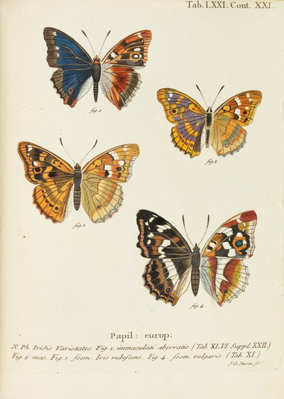 Die Schmetterlinge, 1777-1794 door Eugen Johann Christoph Esper