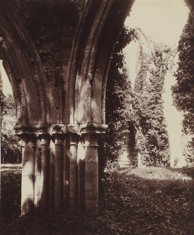 Dammarie-les-Lys, ruïnes,1910 (foto) door Eugène Atget