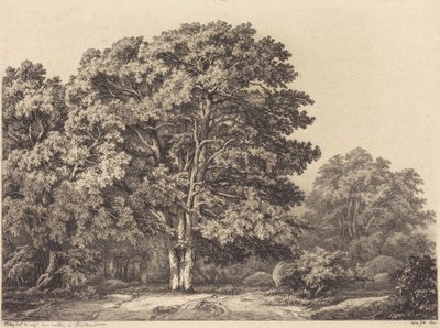  door Eugene Bléry
