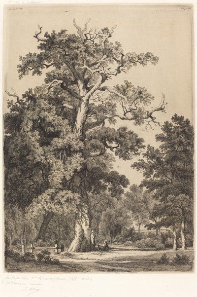 Oude Eik in het Bois de Boulogne, 1855 door Eugene Bléry
