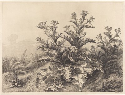 Grote distel, 1843 door Eugene Bléry