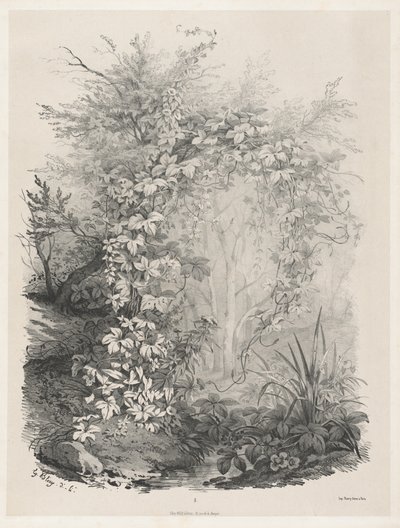 Planten en klimop bij een stroom, 1848-1849 door Eugene Bléry