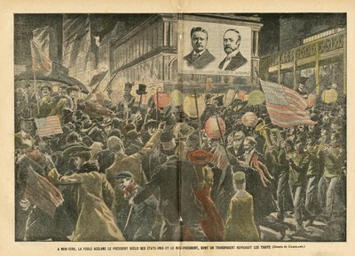 Illustratie van Eugene Damblans (1865-1945) in Le Pelerin, 20/11/04 - In New York juicht de menigte de herkozen president van de Verenigde Staten en de vice-president toe, wiens transparant de kenmerken weergeeft - Amerika, Verkiezingen, Architectuur door Eugene Damblans