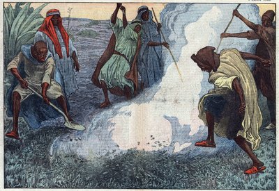 De vernietiging van sprinkhanen in Algerije: de Arabieren verbranden ze onder kreten en vervloekingen. Illustratie van Damblans. In 