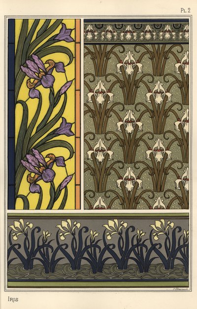 De iris in verschillende patronen door Eugene Grasset