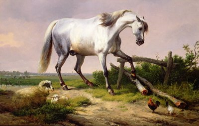 Een grijze hengst met schapen en gevogelte door Eugene Joseph Verboeckhoven