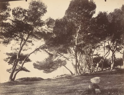 Cannes, Ile Saint Honorat door Eugène Atget