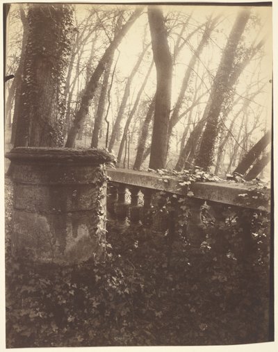 Saint-Cloud Park, Parijs door Eugène Atget