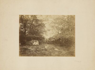[Landschapsstudie] door Eugène Cuvelier