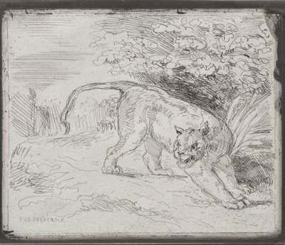 Een Gevangen Tijger door Eugène Delacroix