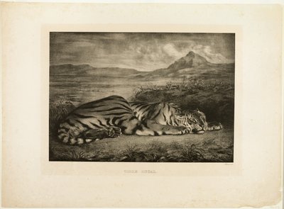 Bengaalse Tijger door Eugène Delacroix