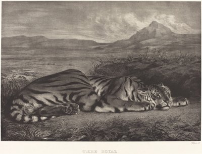 Koninklijke Tijger Tigre Royal door Eugène Delacroix