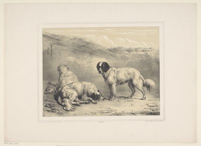 Drie honden door Eugène Verboeckhoven