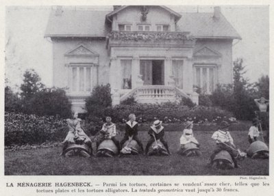 De Hagenbeck Menagerie door European Photographer