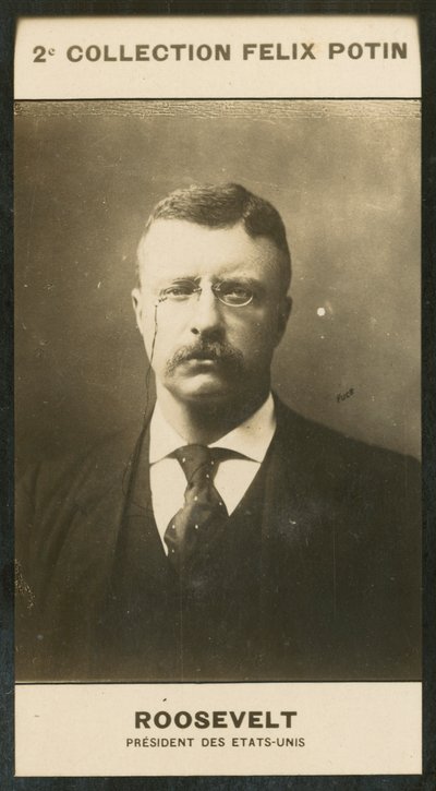 Theodore Roosevelt, President van de Verenigde Staten door European Photographer