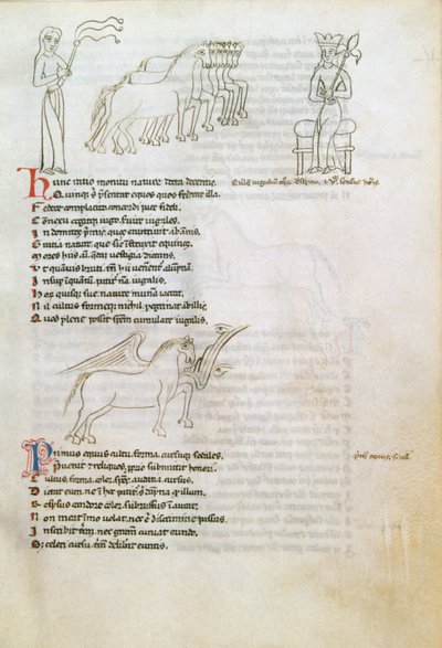 Bestiarium: het paard door European School