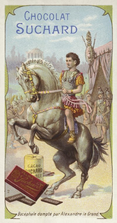 Bucephalus getemd door Alexander de Grote door European School