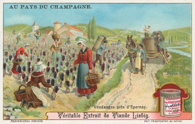 Champagne, Liebig-kaart, begin 20e eeuw (chromo) door European School