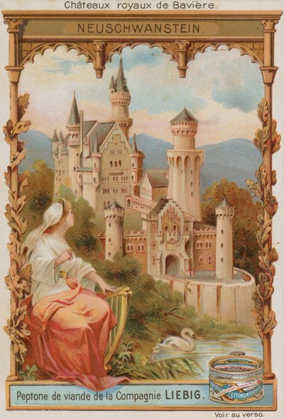 Neuschwanstein door European School