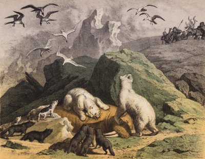 IJsberen van Noord-Siberië die zich tegoed doen aan een dode Walrus door European School