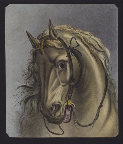 Portret van een paard (kleurenlitho) door European School