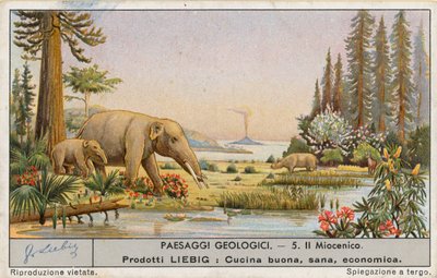 Prehistorische wereld, Liebig-kaart, begin 20e eeuw (chromo) door European School