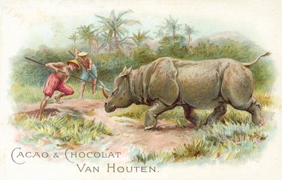 Neushoorn onder aanval door European School