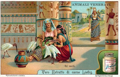 Heilige ibis in het oude Egypte door European School