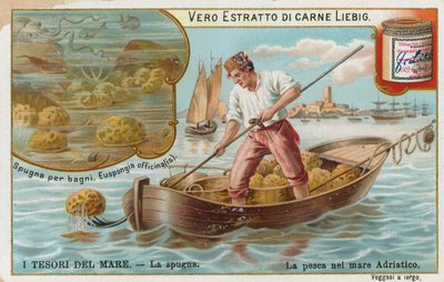 Schatten van de zee, Liebig-kaart, begin 20e eeuw (chromo) door European School