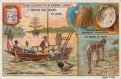 Schatten van de zee, Liebig-kaart, begin 20e eeuw (chromo) door European School