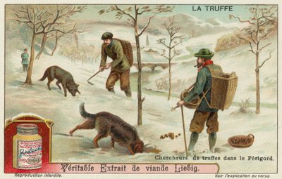 Truffeljagers in Perigord in Frankrijk door European School