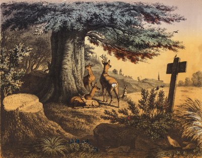Onder de schaduwrijke beuk zijn de eekhoorn, ree, hinden en reekalf door European School