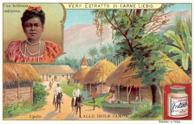 Dorp op het eiland Upolu, Samoa door European School