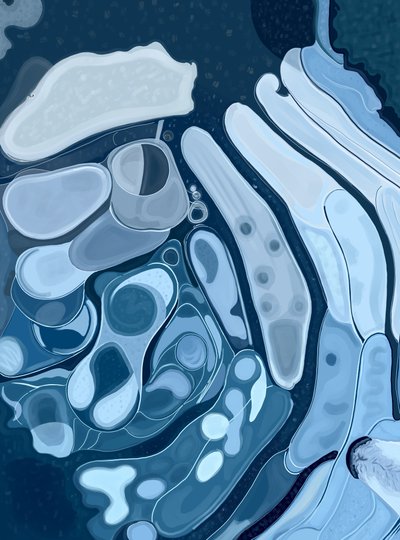 Bevroren plas en hondenneus (digitale kunst) door Evan Sklar