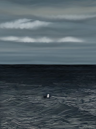 Drijvende meeuw op water en stormachtige lucht (digitale kunst) door Evan Sklar