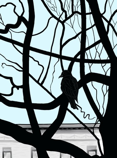 Havik op tak in stad (digitale kunst) door Evan Sklar