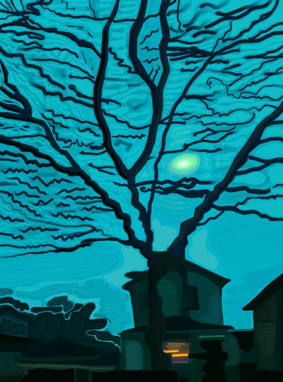Huis in Queens bij nacht (digitale kunst) door Evan Sklar