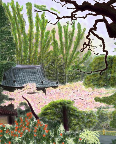 Japanse tuin door Evan Sklar