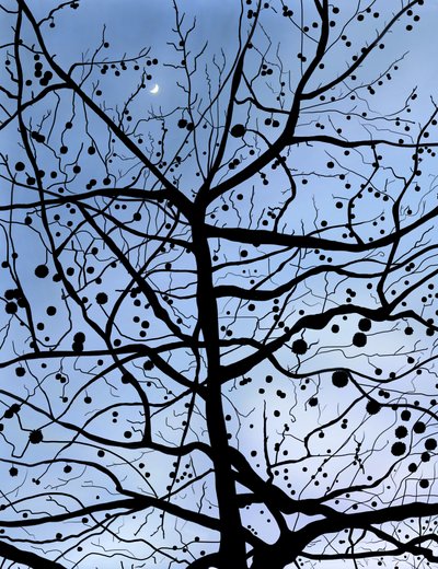 London PlaneTree and Moon, Brooklyn (digitale kunst) door Evan Sklar