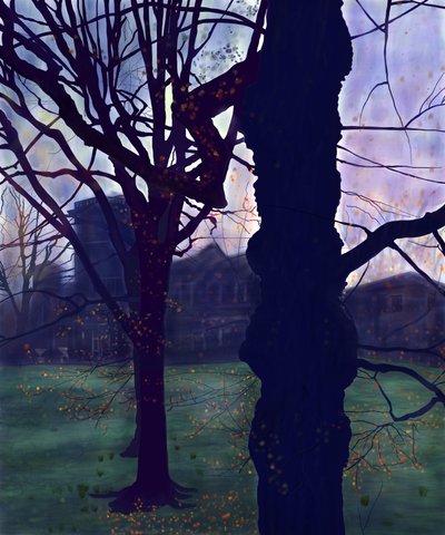 Prospect Park, ochtendgloren, vroege lente door Evan Sklar