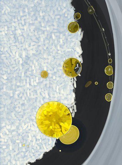 Rijst koken in pot met druppels olijfolie (digitale kunst) door Evan Sklar