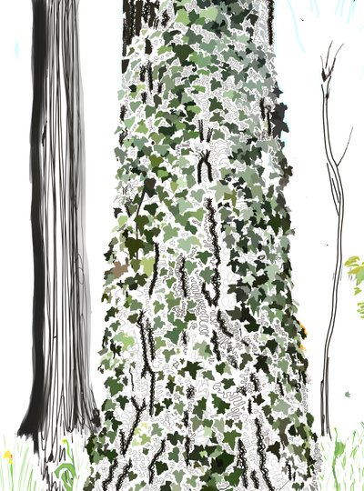 Boom met klimop (digitale kunst) door Evan Sklar
