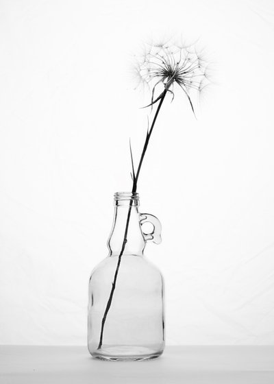  door Eyal Amer