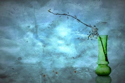 Stille blauwe bloesems door Eyal Amer