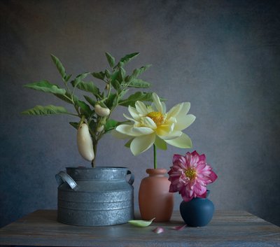 Witte aubergines Dahlia Still door Fangping Zhou