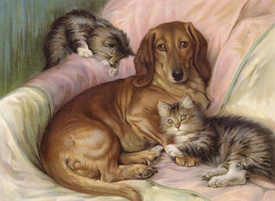 Speelkameraadjes - hond en twee katten, zittend op een bank door Fannie Moody