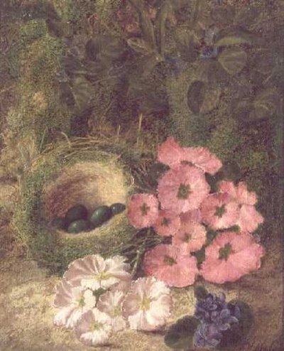 Lente (nest met hondrozen) door Fanny Jane Bayfield